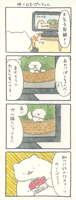 4コマ漫画「映り込むぽんちゃん」 