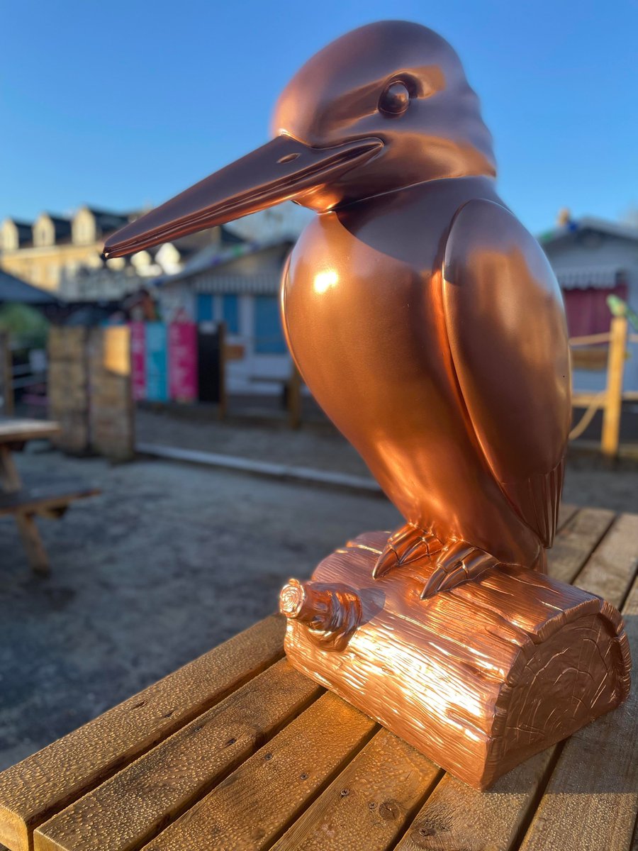 Beautiful weather here this morning in #boveytracey Here's our newest product hitting the website! #kingfisher #copper #beauty