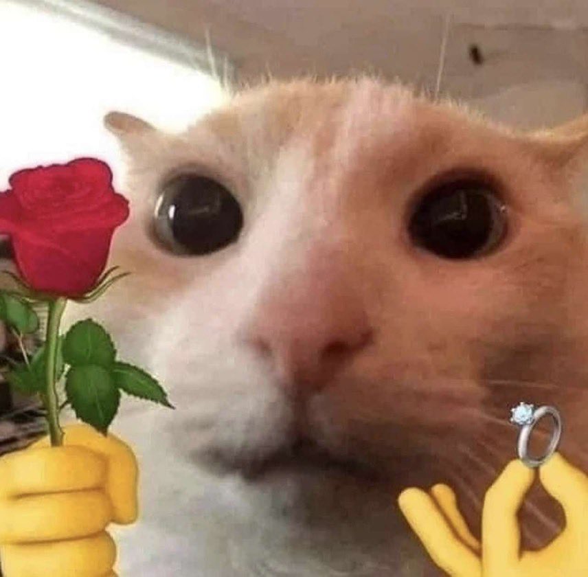 Rocketment tweet media