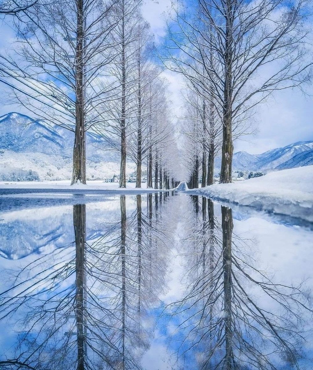 Miep51082958's tweet image. #WinterReflections