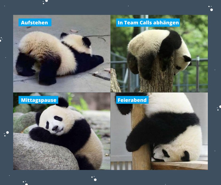 Ashampoo_DE tweet media