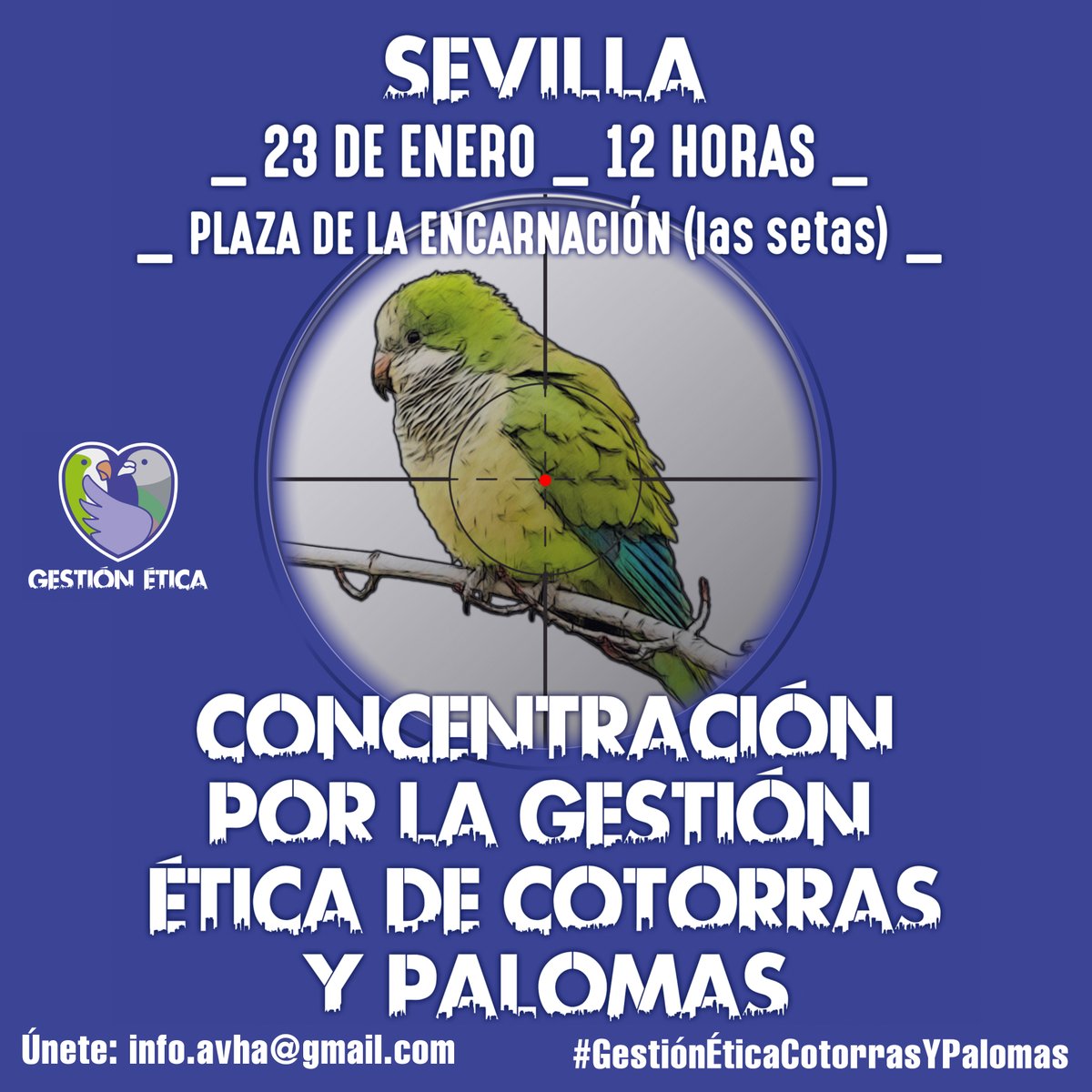 AVHA tweet media