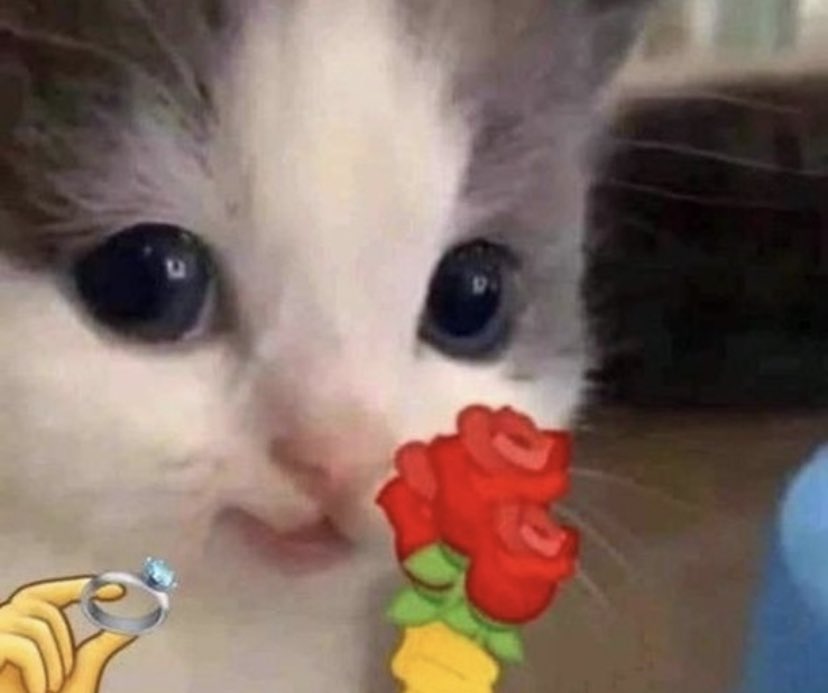 Rocketment tweet media