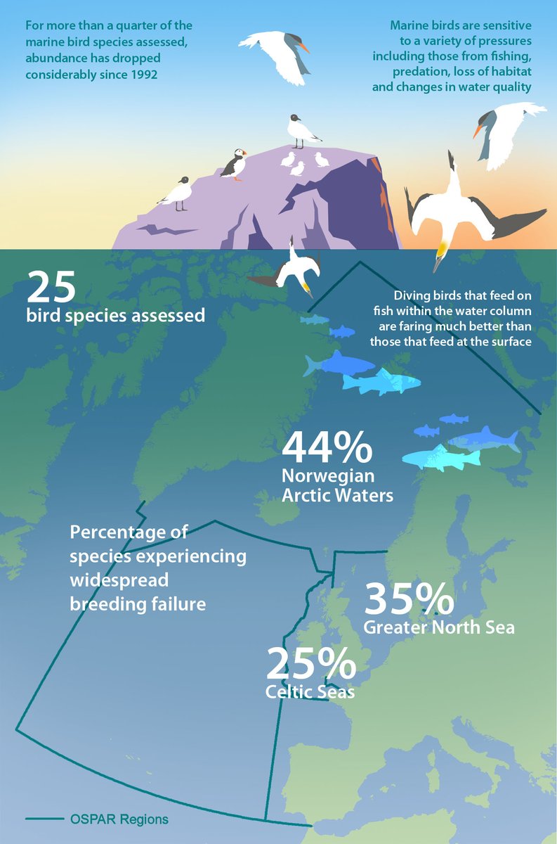 #OSPARprotects In 2017 we assessed 25 bird species. Abundance had dropped considerably for a quarter of all species assessed leading OSPAR to conclude that marine birds are in trouble <a href="/BirdLifeEurope/">BirdLife Europe & Central Asia</a> <a href="/NaturesVoices/">Nature's Voices</a>  oap.ospar.org/en/ospar-asses…