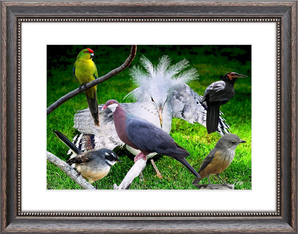 barbierjeanf's tweet image. The birds of New Caledonia, A4 color print
Can be used as WALL DECORATION with a FRAME NOT PROVIDED
etsy.com/fr/listing/115…
#Wildlife #NewLookPhilately #OriginalArtwork #A4ColorPrint #HomemadeMontage
#CollectibleStamp #WallDecor #DigitalArt
#GiftForAll #UniqueModel
#VintageStamps