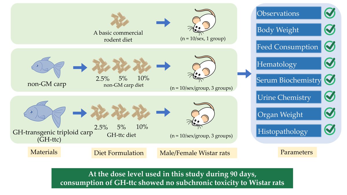 Fishes_MDPI's tweet image. 📢New Article in #Fishes:
A 90-Day Subchronic #Toxicity Study of Consumption of GH-Transgenic #Triploid #Carp in #WistarRats
🔗mdpi.com/2410-3888/7/1/…
By Tao Tong, Kunlun Huang et al. from China Agricultural University, Chinese Academy of Sciences
#transgenic