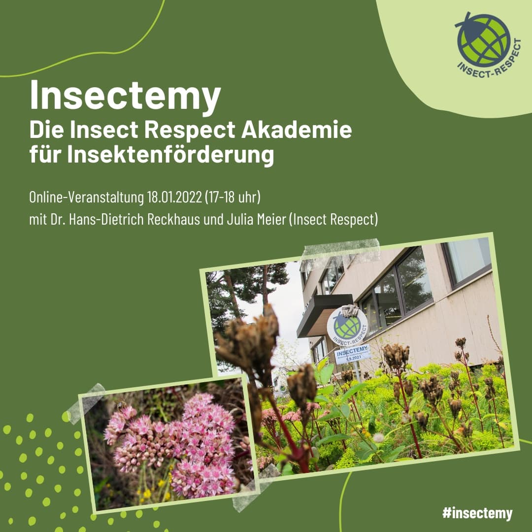 InsectRespect's tweet photo. Liebe #GaLaBauer, am 18.1. schon was vor?
Um 17 Uhr stellen wir #Insectemy vor – Insect Respect #Akademie für Insektenförderung. Denn immer mehr Firmen & Gartenbesitzer fragen, wie sie mit ihren Arealen die #Artenvielfalt fördern können. Das eröffnet neue Geschäftsmöglichkeiten. https://t.co/ceuR4a1PEd