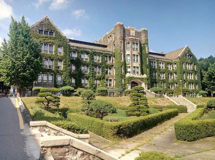 Yonsei university как поступить