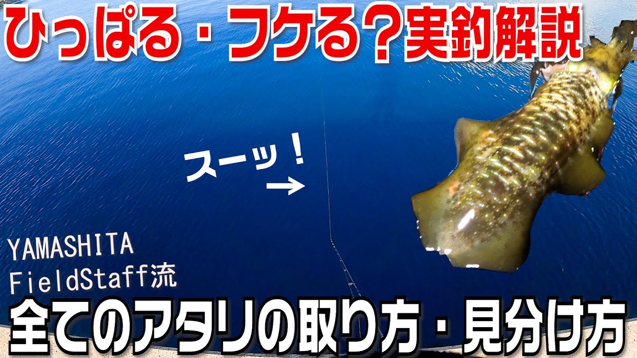 竹本保幸 今回の動画は超有料級 エギングでの様々なアタリの取り方 出方を実釣解説 レベルアップ間違いなし 抱かずに後ろについた状態も解説 釣り好きタケちゃんネル エギング Yamashita エギ王 イカのアタリ アタリの取り方 エギング好きな人