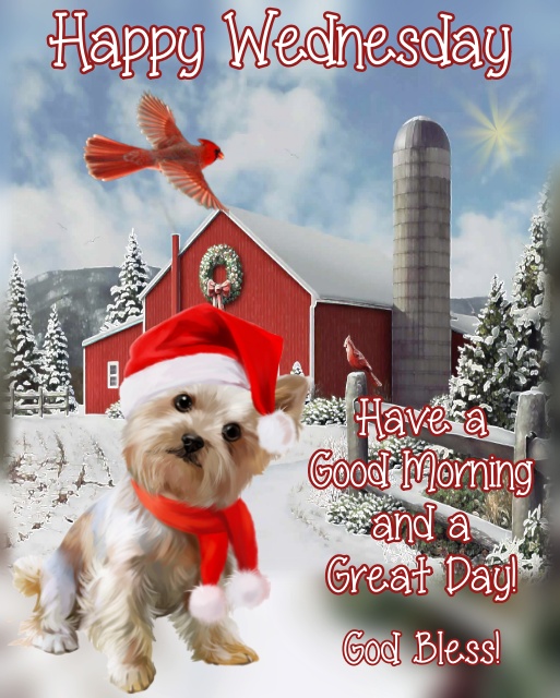 Good Morning Everyone, Happy Wednesday!! I pray that you have a safe, happy and blessed day.