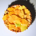 イチョウの落ち葉タルトが素敵すぎる!チョコ製の葉っぱがまるで本物みたい…