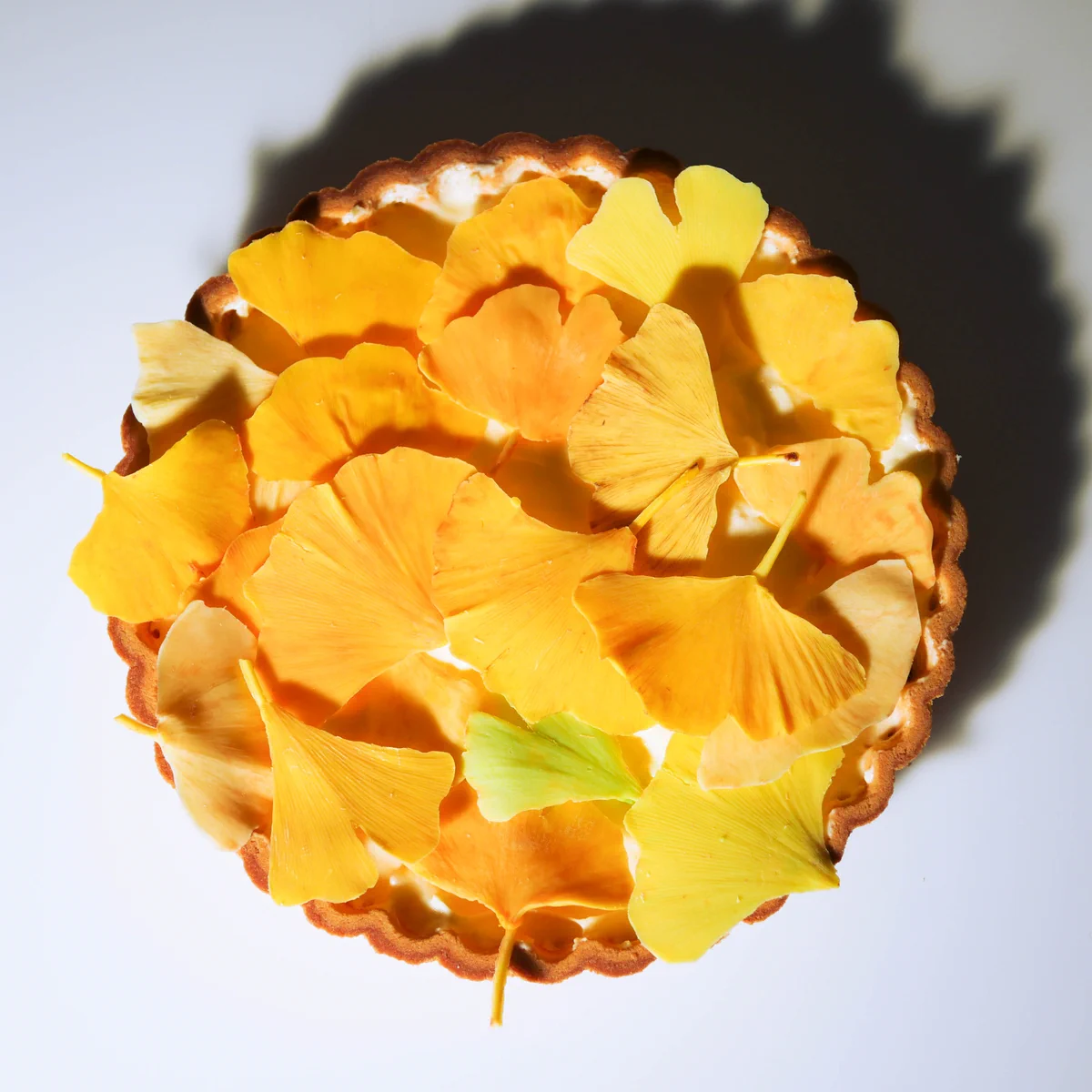 イチョウの落ち葉タルトが素敵すぎる！チョコ製の葉っぱがまるで本物みたい…