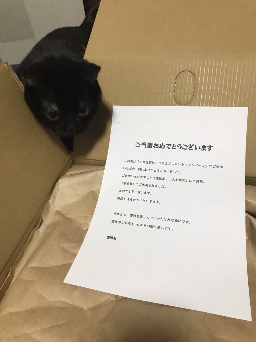 N755C4's tweet photo. 正月怪談社2022プレゼントキャンペーンで怪談あいうえお作文にて、糸柳賞のプレゼント届きまじだ(T_T)ダンボちゃんにサイン入れて下さってる(//∇//)ダンボールを開けた瞬間からダンディな香りが！そして、とっても厳重に梱包ありがとうございました！！
＃怪談社　御中
＃KwaidansyaShana  様 https://t.co/Hs2tCGS5Vo