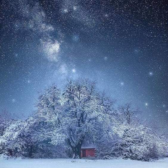 Celticirish7's tweet photo. No matter how dark the night is, the stars don't go off.
As long as life lasts, dreams don't leave.
☘ ️ 💚❤️ https://t.co/BfMxmY9FrY
