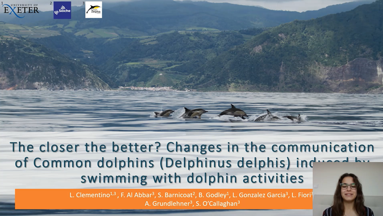 UKIRSC MarineMammals tweet media