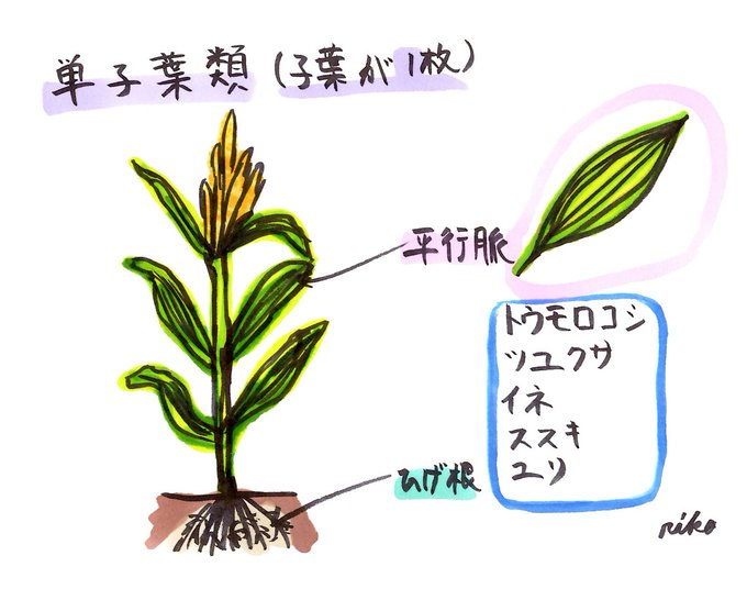 女塾のtwitterイラスト検索結果