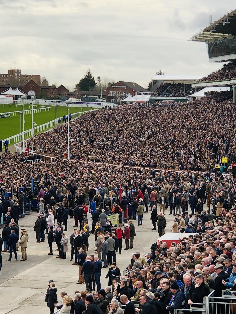 Nathan Judah tweet media