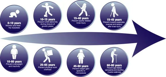 🌟 Free access until February 4th 🌟 

A lifespan approach to osteoarthritis prevention

Available in the Special Issue on OA Prevention 

👉 buff.ly/3ocpBZc

#osteoarthritis <a href="/OARSInews/">OARSI</a> <a href="/jwhittak_physio/">Dr. Jackie Whittaker</a> <a href="/ewa_roos/">Ewa Roos</a>