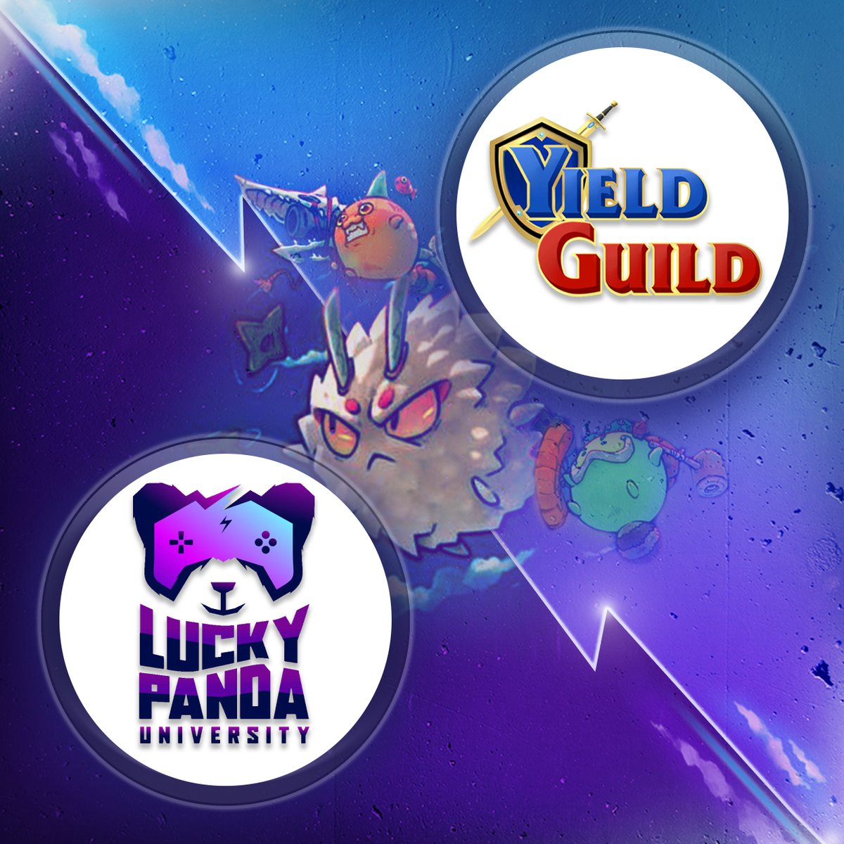 luckypandaguild's tweet photo. Today marks the first month of Lucky Panda University’s partnership with Yield Guild Games!🎇

In a short span of time, we have onboarded 300 LPUxYGG scholars and helped 1,300 Palaweños. 

#LuckyPandaUniversity #YGG #YGGPILIPINAS #LPU #AxieInfinity #AxieScholarship #WeAreYGG https://t.co/3gSfQIzv1u