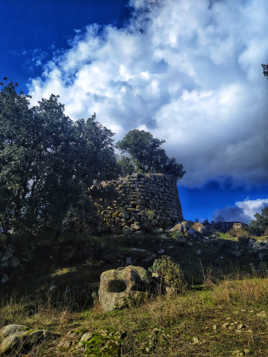 DiscoveringSar1's tweet photo. https://t.co/ufn2Nfwk9E⬅️
➡️#AlàDeiSardi: #NuragheBoddò,monotorre costruito su un contrafforte granitico che forma un bastione naturale.
 #sassari
#sardegna #italy #photo #art #nature #sky #discoveringsardinia #archaeology #architecture #day #GoodMorning #happy https://t.co/03BRPeuo7h