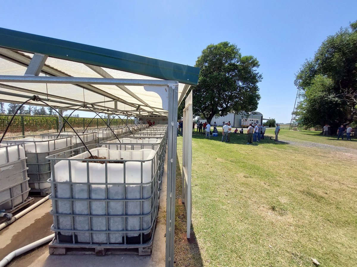f_olivetto's tweet photo. Muy buena Jornada de Buenas Prácticas Agrícolas viendo todo lo que se puede hacer hoy en día. Bayer Foward Farming.
 Gracias @BFF_Agric_Testa por mostrar el trabajo que realizan a diario. #Phytobac #Procarbono #Certificacion14130 @Bayer4CropsAR @MarceloTestaOK @AnduGargantini https://t.co/KTICeVRLDp