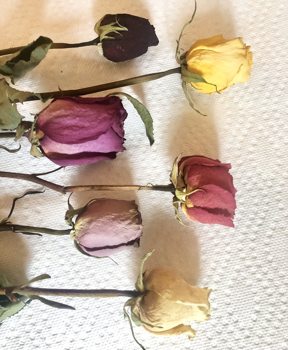 ShellbiesDecor tweet picture