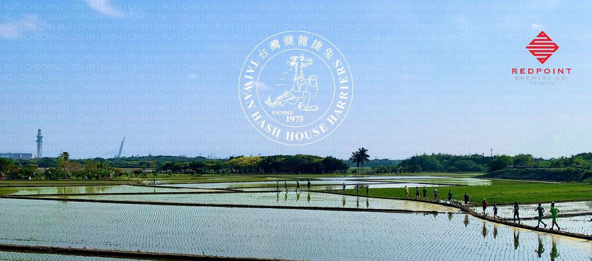 Taiwan Hash House Harriers tweet media