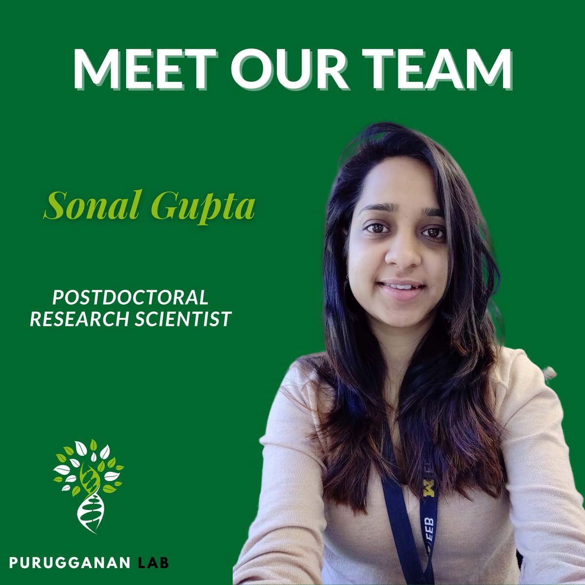 LabPurugganan's tweet photo. Meet Our Team!

Today we present Sonal Gupta, our new Postdoctoral Research Scientist member in the Purugganan Lab.

@gsonal_gupta 
@nyuniversity 
@NYUGenomics https://t.co/sr7dnYXoYY