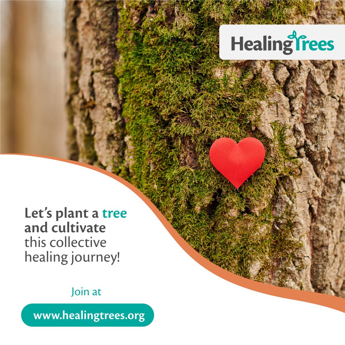 HBrooksLive's tweet photo. How many trees did you plant last year and what is your target this year ?
There is a movement that encourages individuals to plant more than 5 million trees around the world- #HealingTree
This year my target is 52🌲, you can as well be part by joining https://t.co/4YeSz9pvnS https://t.co/2MP9qH8rqj