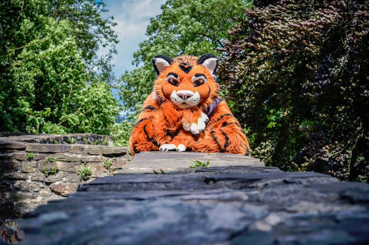 During the #PortfolioDayto  I also made a small selection of my photo art. Hope I can do more photo shoots again this year. ^^
Suiter are:  @DaxBlack2014
                     <a href="/Schneegepard/">Sethaa 🍁</a> 
                     <a href="/DixonDingo/">Dixon</a>
                     <a href="/AmurUssuri/">AmurUssuri</a>