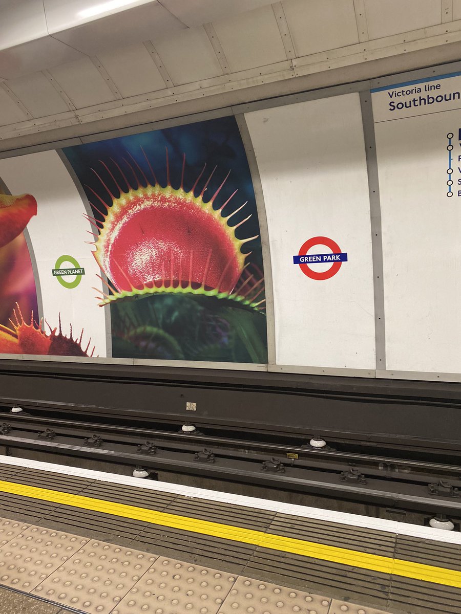 FelixxMoritz's tweet photo. Green Planet(the documentary) takes over the tube, so now Green Park is #GreenPlanet!
Brilliant 🤩 and a necessary watch (if you love/care about 🌱🌏) 

#BBC #Londontube #advertising #SirDavidAttenborough #GreenPlanet #London #coolads #Greenpark #plants #oxygen https://t.co/ILuGKwVlgB