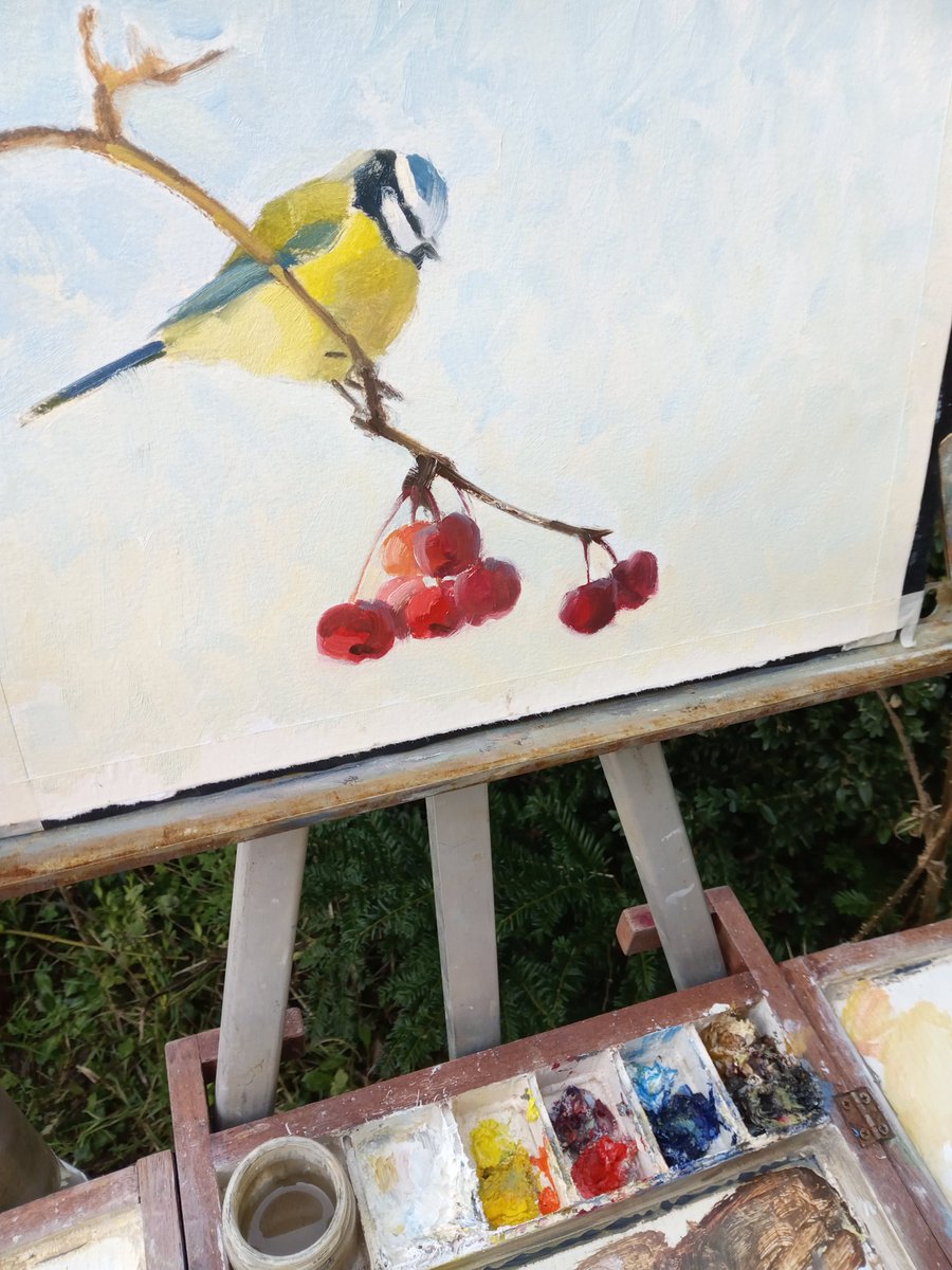 Blue Tit on a Cherry tree branch. 

Oil on primed 300gsm A4 paper.