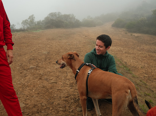 The Dodos tweet media