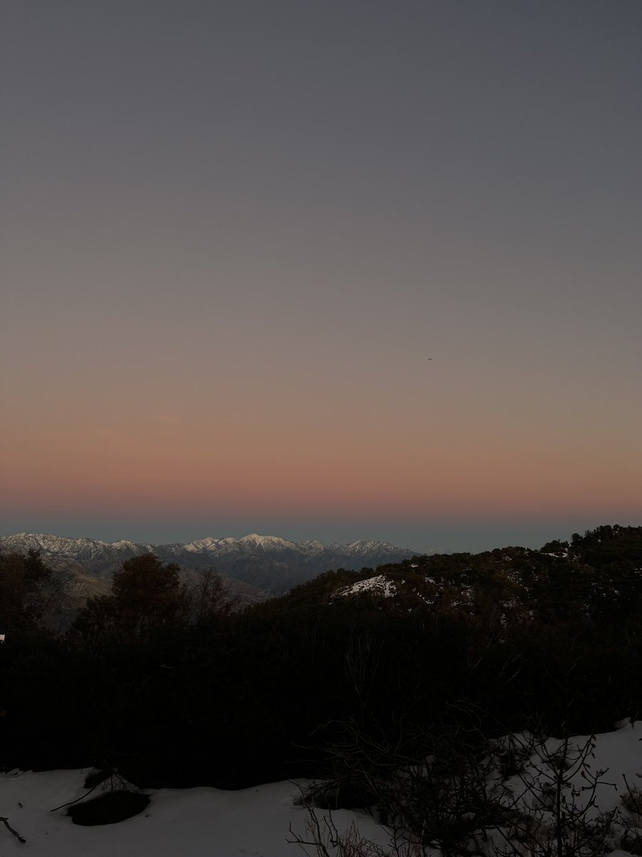 tougeshrk's tweet image. 