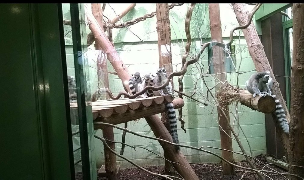 carleyadele's tweet image. 