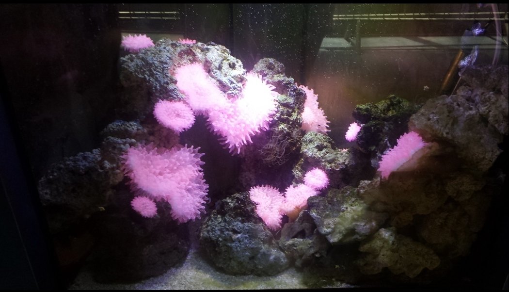 carleyadele's tweet image. 