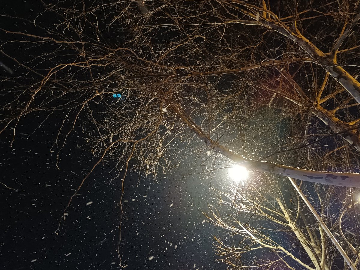 在南京不曾见过的雪天