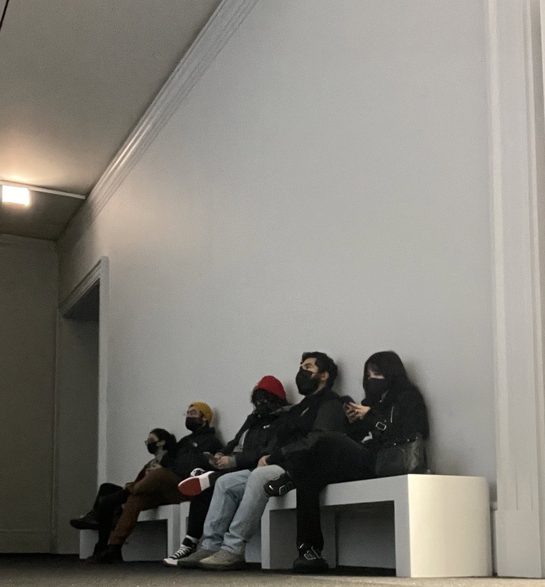 worldwideape's tweet photo. Albums loading. https://t.co/Nvrc3a9l5s