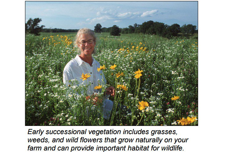 USDA_NRCS's tweet photo. Even small areas of natural vegetation can provide big benefits to your farm. https://t.co/lKXmrVrfpp https://t.co/45eqZvzczJ