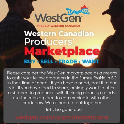 WestGen (@_westgen) on Twitter photo 