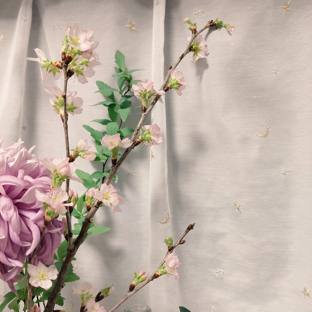 フラワーマン Twitter Search Twitter