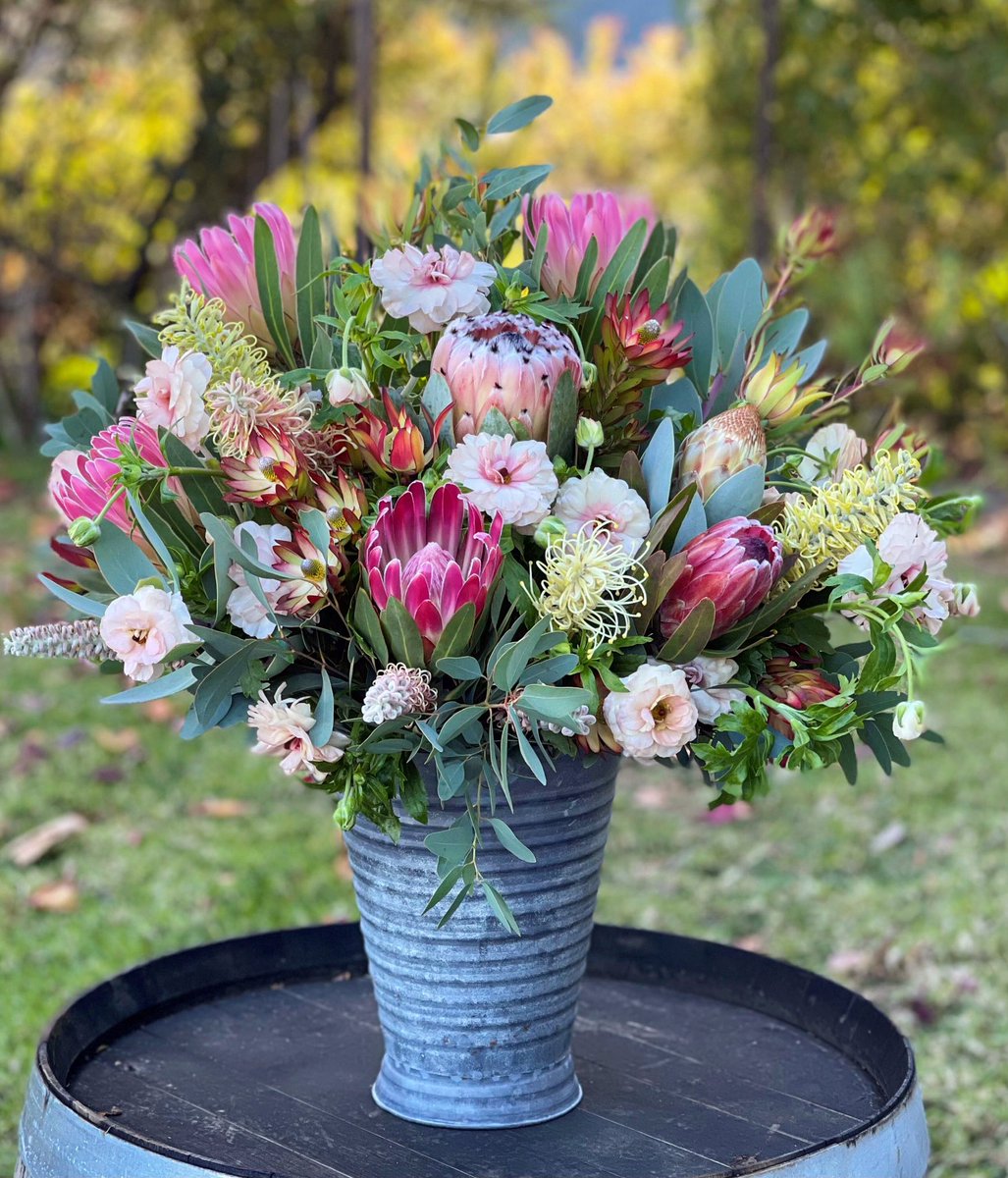 DianaR_Resendiz's tweet photo. Sometimes we just can’t get outside, but that doesn’t mean we can’t savor the many benefits of nature while we’re inside. The beauty of nature is that is has the ability to effect us no matter where or how we experience it. 🪴😊🌷#wellnesswednesday #bringnatureinside #protea https://t.co/yk9dShpUZp