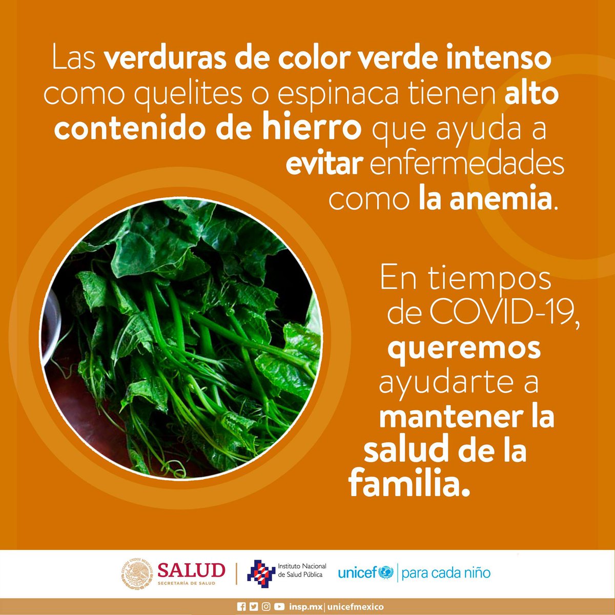 ¿Qué #verduras de color verde intenso consumes? 🥬 🫑 💚
Tienen alto contenido de #hierro, el cual ayuda a evitar enfermedades.

Incluye verduras de todos los colores en todas tus comidas y #TransmiteSalud
