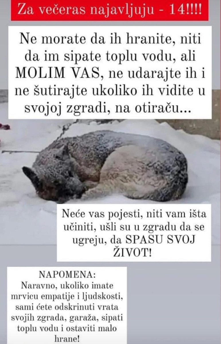 DragoslavicM's tweet photo. 🙏🥰❤🐕🦮🐕‍🦺🐈🐈‍⬛ https://t.co/A24GiNY5tc