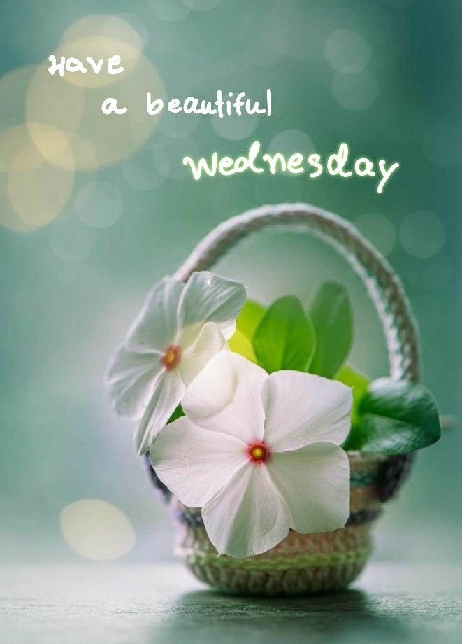 Dianne__LadyD's tweet photo. @rainiemainie Wednesday blessings to you Lorraine, wishing you a beautiful day my friend ❤️ https://t.co/eEdkDbmaU9