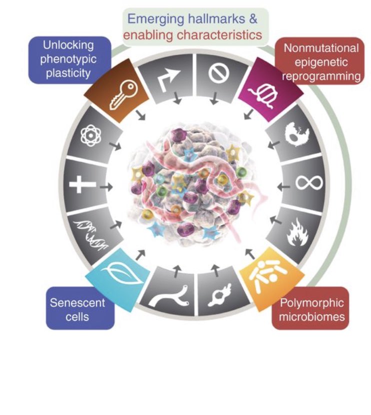Doug Hanahan presents the third update to the iconic “Hallmarks of Cancer” in <a href="/CD_AACR/">Cancer Discovery</a> this morning. New tenets added: phenotypic plasticity, epigenetic reprogramming, cellular senescence &amp; to no one’s surprise, the microbiome. 
cancerdiscovery.aacrjournals.org/content/12/1/3…
#OpenAccess for all!