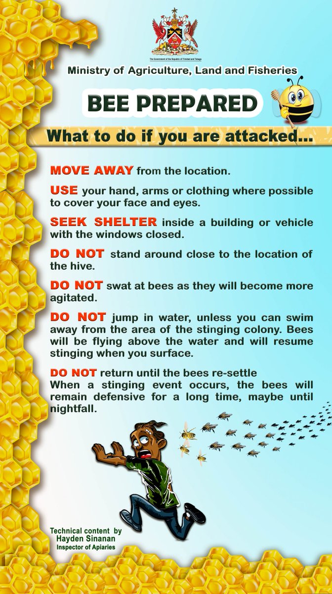 maftt_'s tweet photo. #Bees | #BeeSeason | #BeeSwarms | #BeeColonies | #BeePrepared | Bee Season Guidelines: What to do if you are attacked https://t.co/Kt0fbMU6kO
