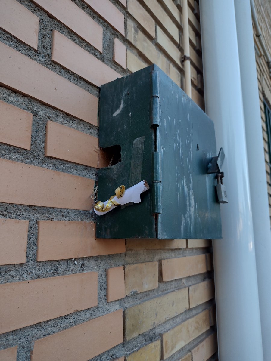 PequesdelV's tweet photo. os hemos llevado una gran sorpresa en nuestro #planetadelaM 
Una carta de Hogwarts ha entrado por la ventana...
Hemos tenido que mostrar nuestra valía buscando y recitando los hechizos para ser aceptados/as en la escuela de magia y hechicería.
#abp #claustrovirtual #hogwarts https://t.co/mhEJwnd5LN
