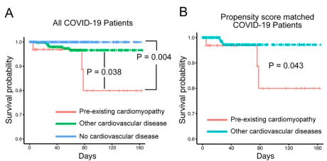 Genome Biology (@genomebiology) on Twitter photo Study of factors associated with elevated ACE2 expression from <a href="/navvymann999/">Navchetan Kaur</a>, <a href="/ZichengHu/">Zicheng Hu</a> & co. They use GENEVA (gene expression variance analysis) to show cardiomyopathy upregulates ACE2. COVID-19 patients with cardiomyophathy have worse outcomes. genomebiology.biomedcentral.com/articles/10.11… Study of factors associated with elevated ACE2 expression from <a href="/navvymann999/">Navchetan Kaur</a>, <a href="/ZichengHu/">Zicheng Hu</a> & co. They use GENEVA (gene expression variance analysis) to show cardiomyopathy upregulates ACE2. COVID-19 patients with cardiomyophathy have worse outcomes. genomebiology.biomedcentral.com/articles/10.11…