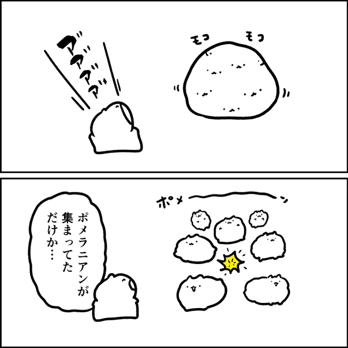ポメラニアン 